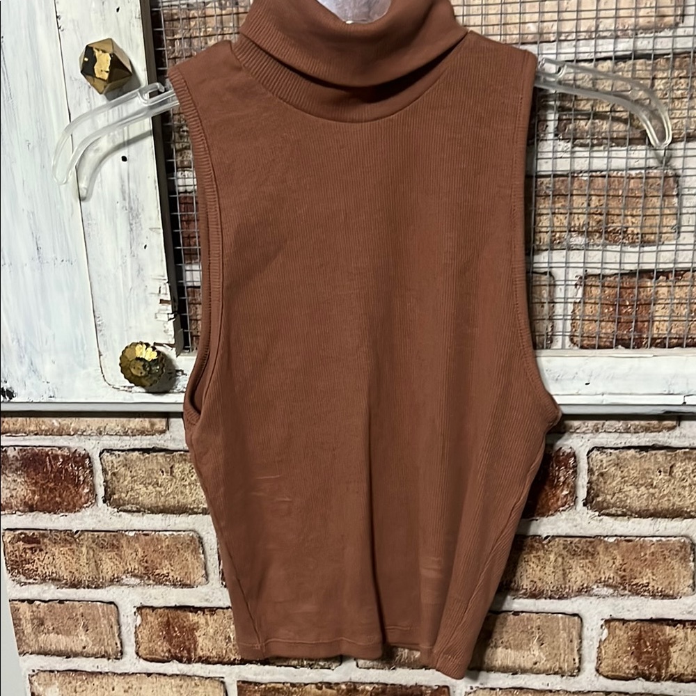 Zara Sleeveless Tan Turtleneck Top